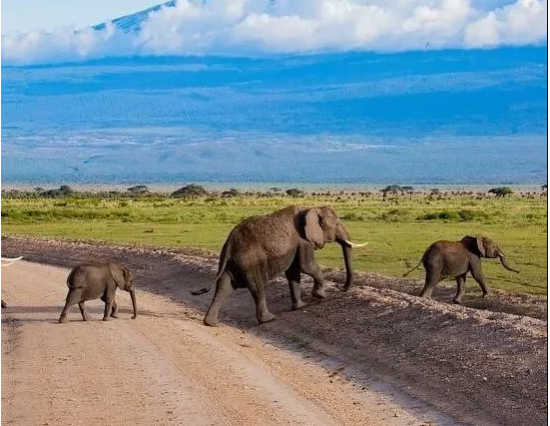 3 Days Samburu Lodge Safari
