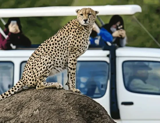 3 Days Masai Mara Camping Safari